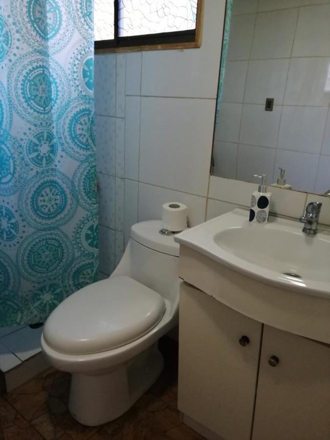 Cabanas Sur Del Mundo Lägenhet Coyhaique Exteriör bild